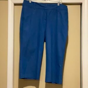 Larry Levin blue pants 16